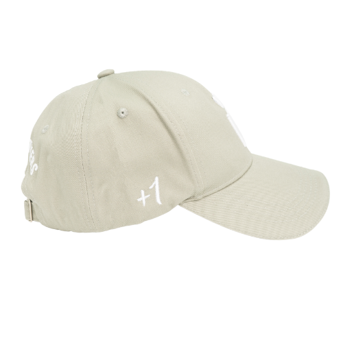 LIGHT GRAY PREMIUM CAP